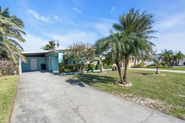 view of front of house featuring a front yard, concrete driveway, an attached carport, and stucco siding