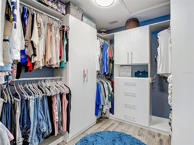 view of spacious closet