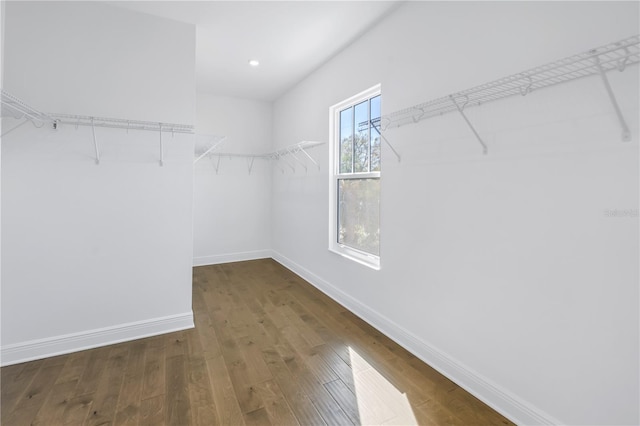 walk in closet featuring dark wood-type flooring