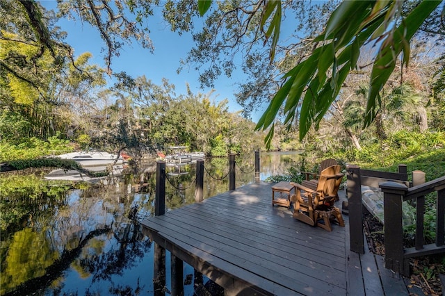 dock area with a water view