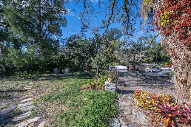 view of yard featuring a patio area