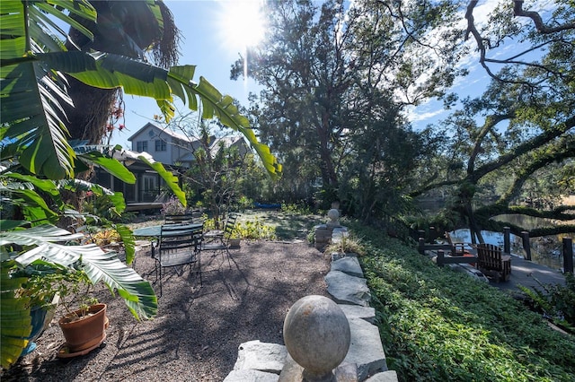 view of yard with a patio area