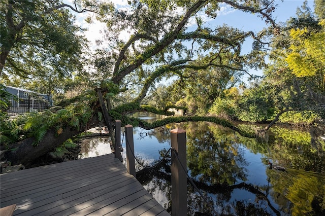 dock area with a water view