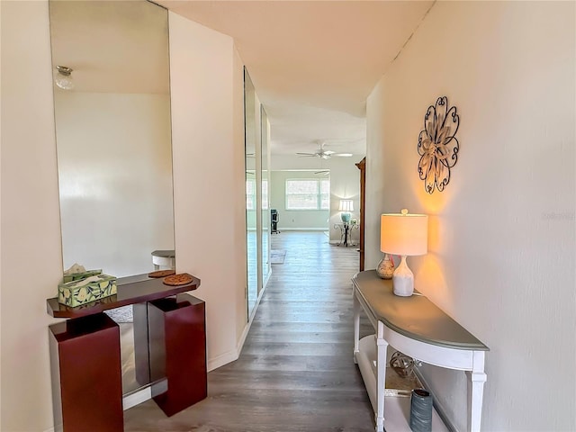 corridor with dark hardwood / wood-style floors