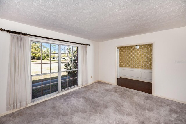 unfurnished room featuring carpet flooring and a textured ceiling