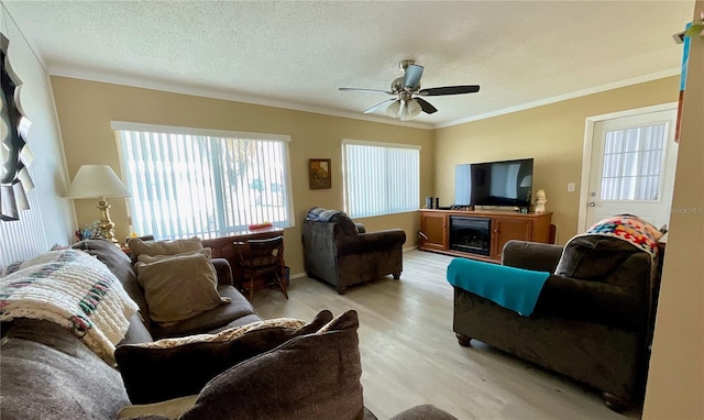 living room with a textured ceiling, light wood-type flooring, ceiling fan, and ornamental molding