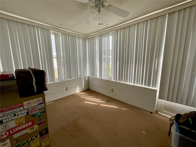 3425 96th Ter N Unit 4, Pinellas Park, FL 33782 - photo 15