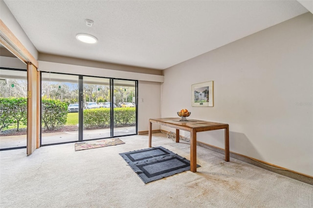 home office featuring carpet floors