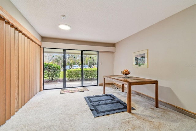 office space featuring a textured ceiling and carpet flooring