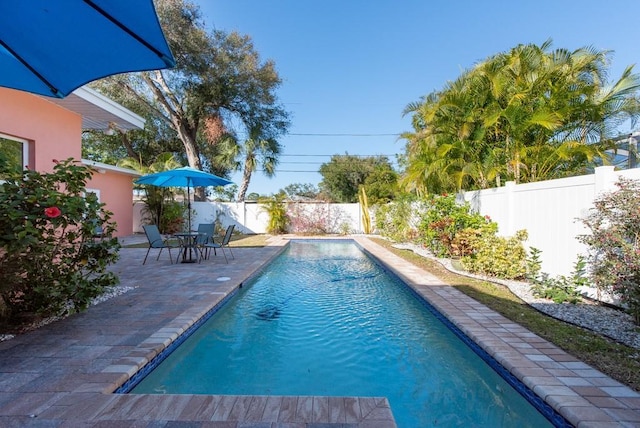 view of pool with a patio area