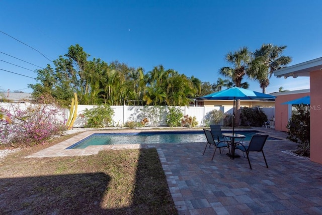 view of pool with a patio