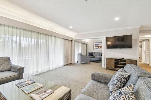 carpeted living room featuring a textured ceiling and ornamental molding