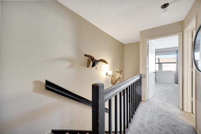 stairway with carpet flooring and a textured ceiling