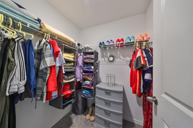 walk in closet featuring carpet floors