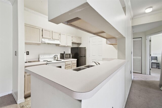 kitchen with white range with electric stovetop, black fridge, sink, and ornamental molding