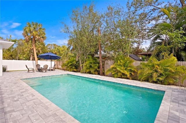 view of pool featuring a patio area and an outdoor fire pit