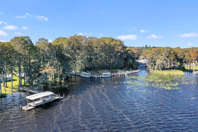 dock area with a water view