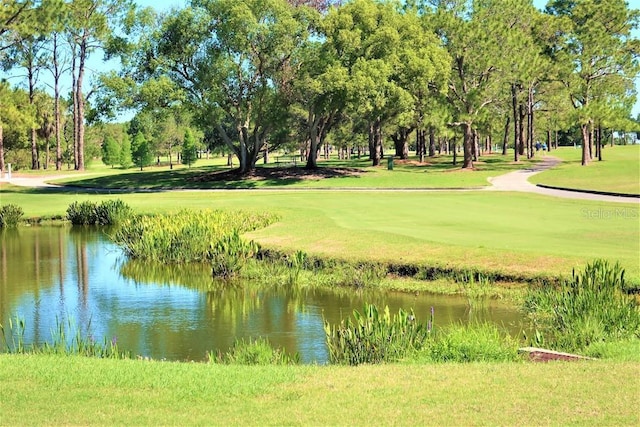 view of home's community featuring a lawn and a water view