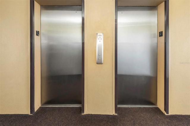 details featuring carpet and elevator