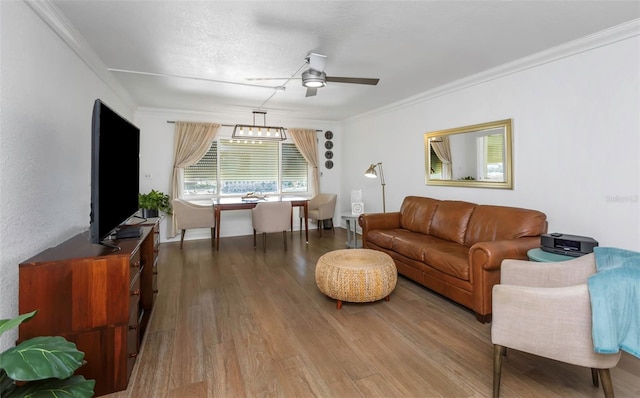 living room with hardwood / wood-style flooring, ceiling fan, ornamental molding, and a textured ceiling