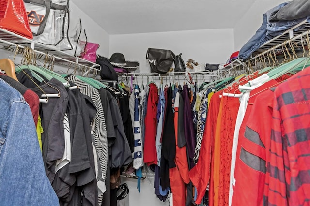 view of walk in closet