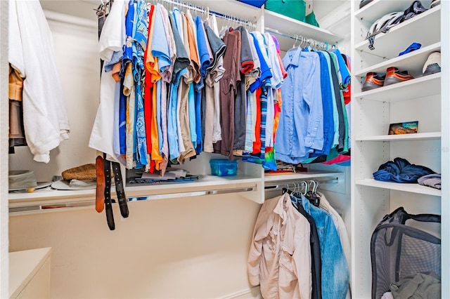 view of spacious closet