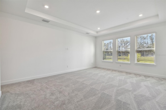 empty room with a raised ceiling, light carpet, and a healthy amount of sunlight