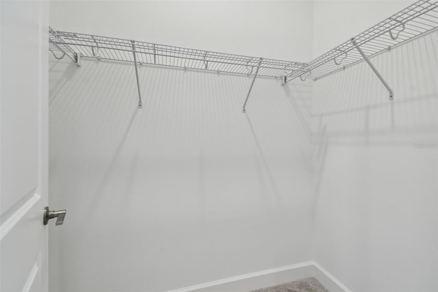 view of spacious closet