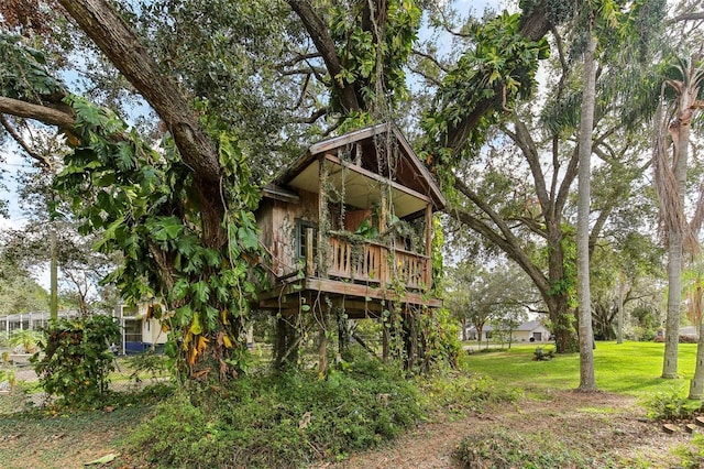 rear view of property with a yard