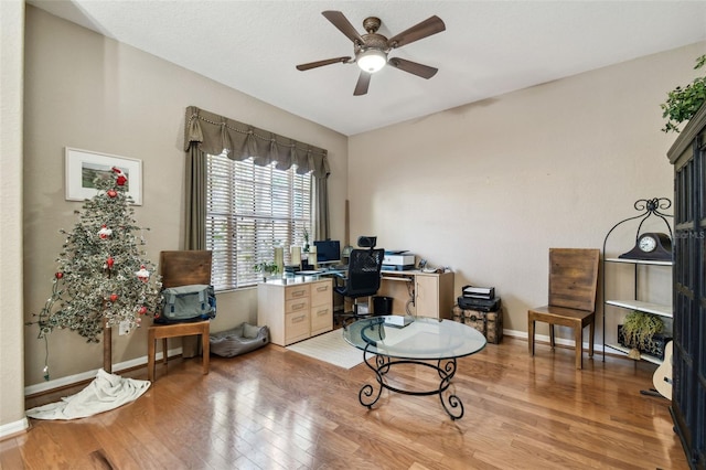 office featuring light hardwood / wood-style flooring and ceiling fan