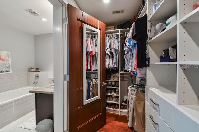 view of spacious closet