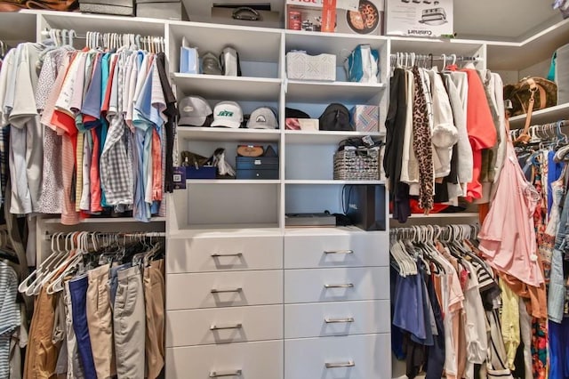 view of spacious closet