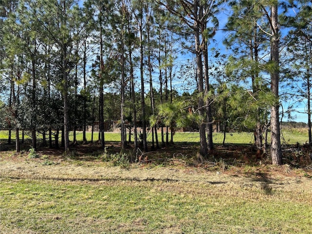 17609 Bledsoe Loop, Lithia FL, 33547 land for sale