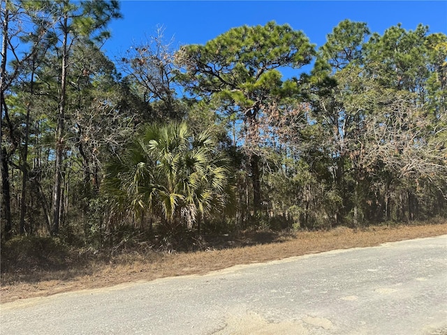 16007 Magpie Rd, Weeki Wachee FL, 34614 land for sale