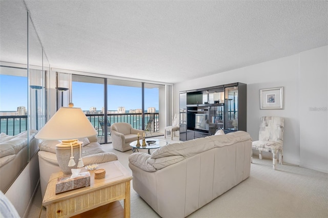 400 Island Way Unit 1204, Clearwater, FL 33767 - photo 6