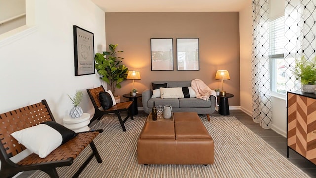 living room featuring a healthy amount of sunlight and wood-type flooring