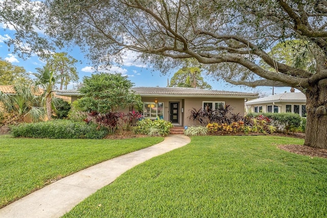 ranch-style house with a front yard