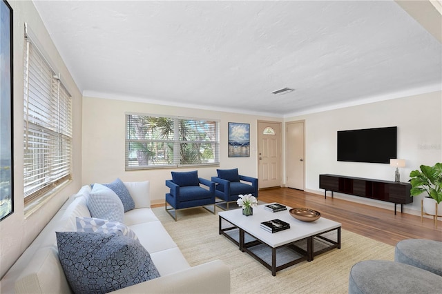 living room with light wood-type flooring