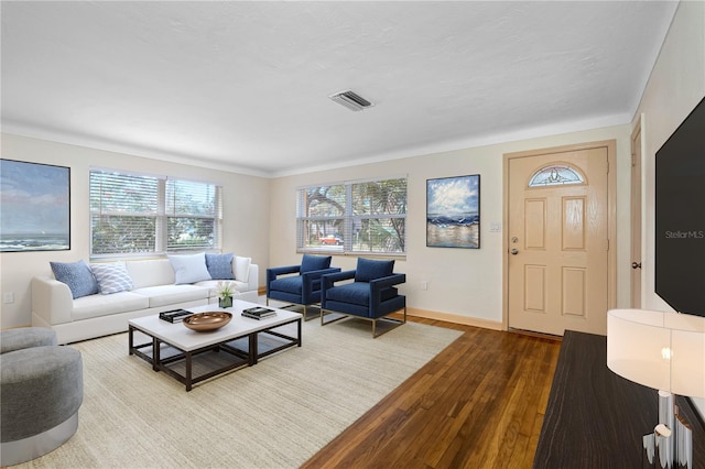 living room with wood-type flooring and plenty of natural light