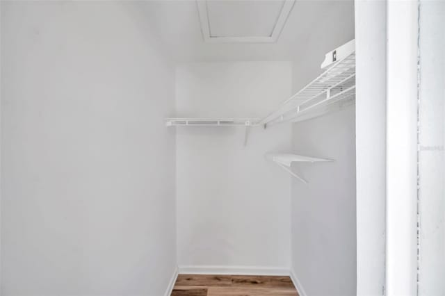 spacious closet with light hardwood / wood-style floors