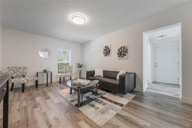 living room featuring hardwood / wood-style floors