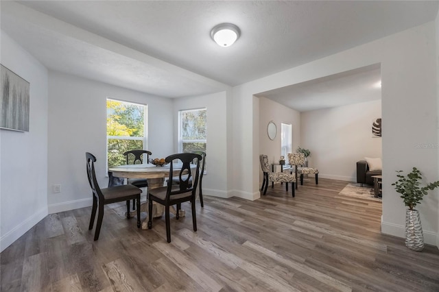 dining room with hardwood / wood-style flooring