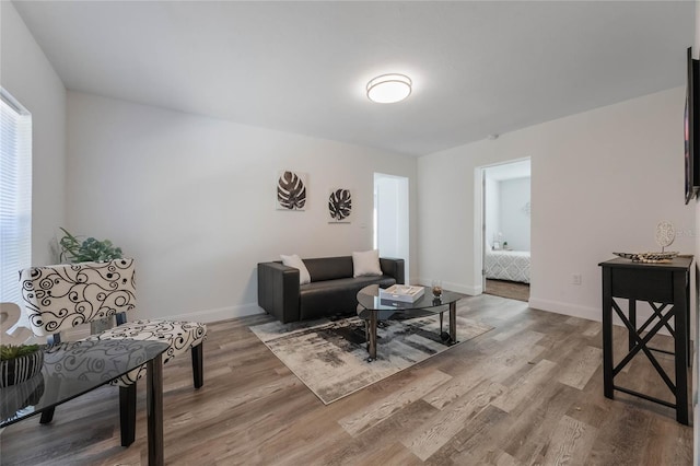 living room with wood-type flooring