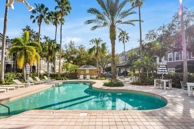 view of swimming pool with a patio