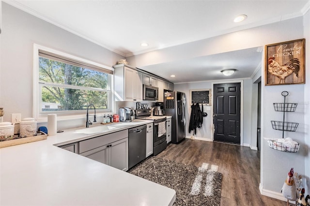 kitchen featuring stainless steel appliances, ornamental molding, sink, and dark hardwood / wood-style flooring