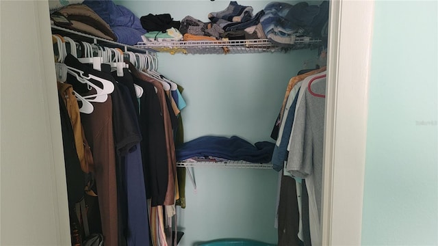 view of walk in closet