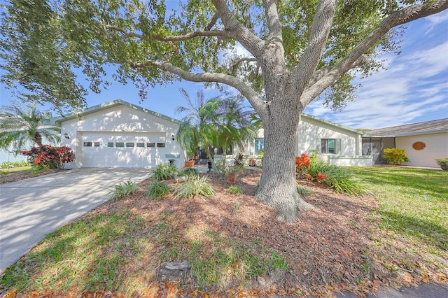 ranch-style home with a garage and a front lawn