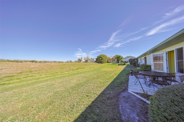 view of yard featuring a patio area