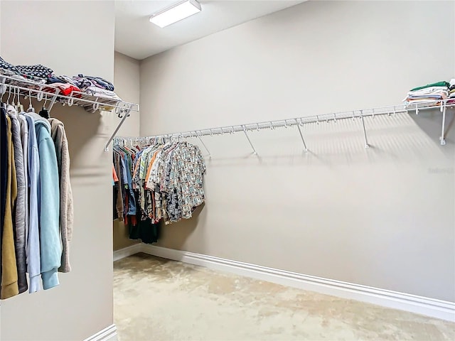 view of walk in closet