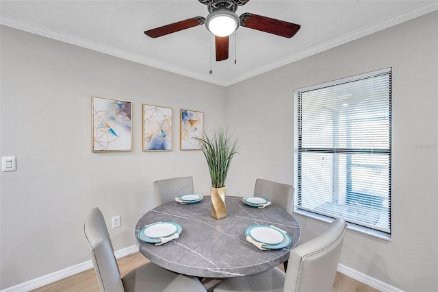 dining area featuring ceiling fan, light hardwood / wood-style floors, and crown molding